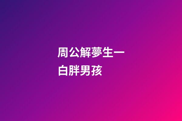 周公解夢生一白胖男孩 (做夢生了個白白胖胖的男孩)-第1張-觀點-玄機派